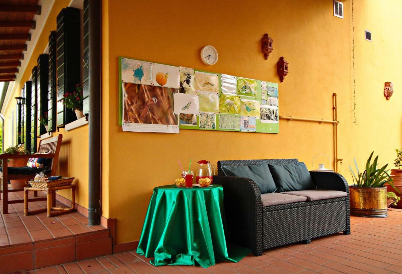 Ca' Leone - Regina Vittoria - Apartment With Pool Mira Exteriör bild